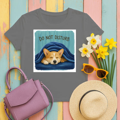 Do Not Disturb Sleeping Dog Graphic Tee product