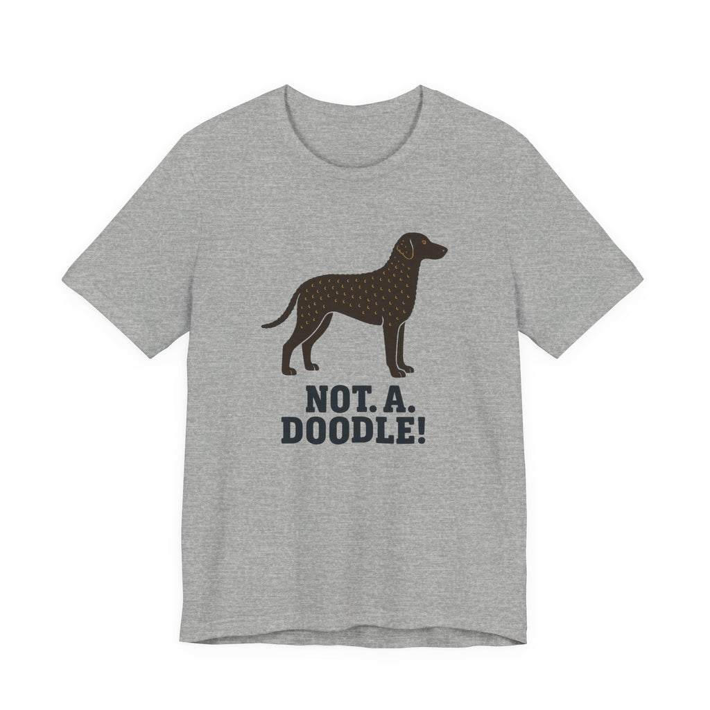 Curly-Coated Retriever Not A Doodle Tee