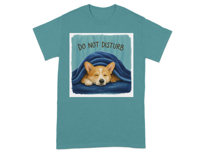 Do Not Disturb Sleeping Dog Graphic T-Shirt product type
