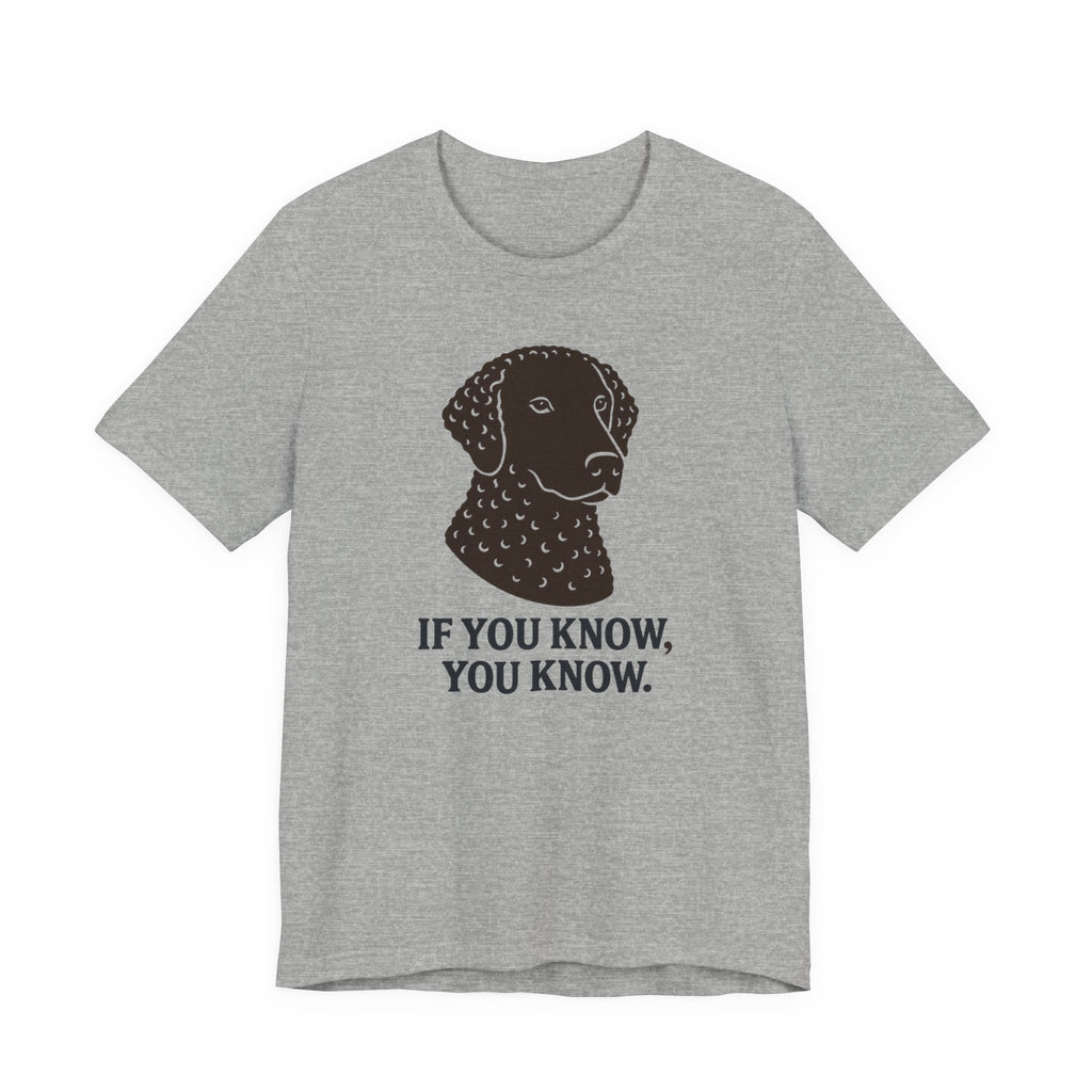 Curly-Coated Retriever If You Know You Know Tee
