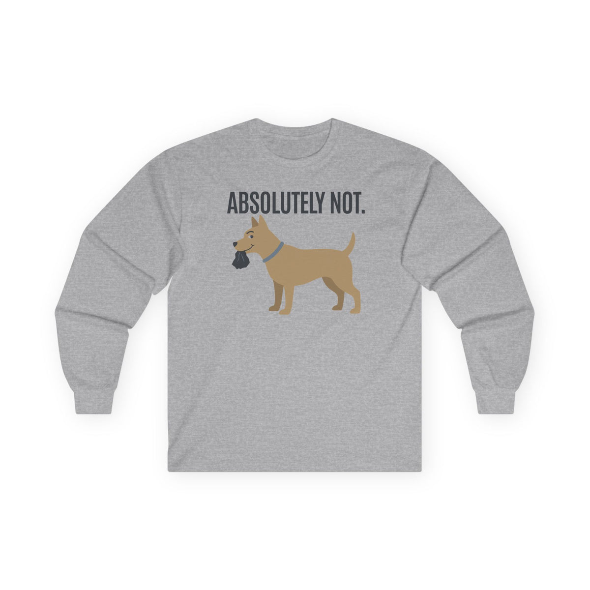 Absolutely Not Long Sleeve Tee in Sport Grey