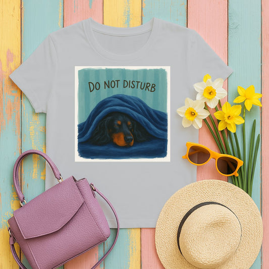 Do Not Disturb Sleeping Dog Graphic T-Shirt product type