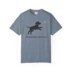 Stay Playful Chase Joy Shirt with Dog and Ball Design
