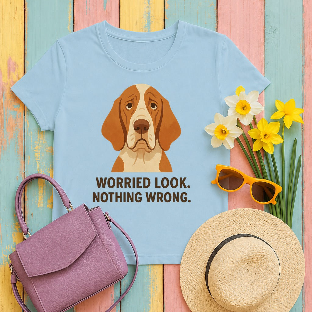 Bracco Italiano Worried Look Tee in Light Blue