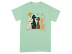 Four poodles in different colors sit on a decorative shelf with star accents.