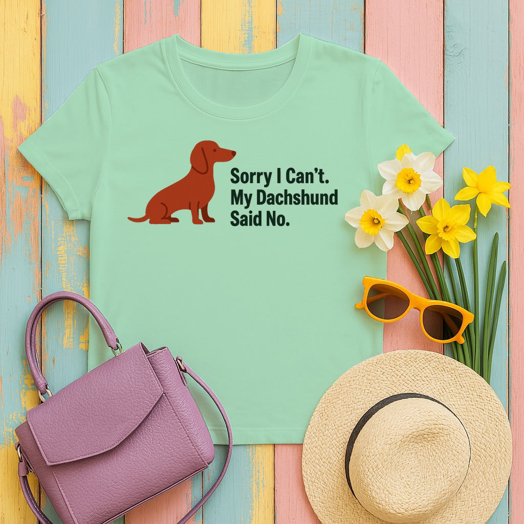 Dachshund Said No Statement T-Shirt in Mint Green