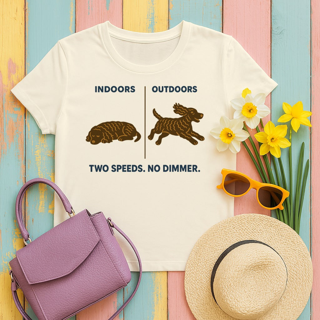 American Water Spaniel Two Speeds No Dimmer Tee in Natural