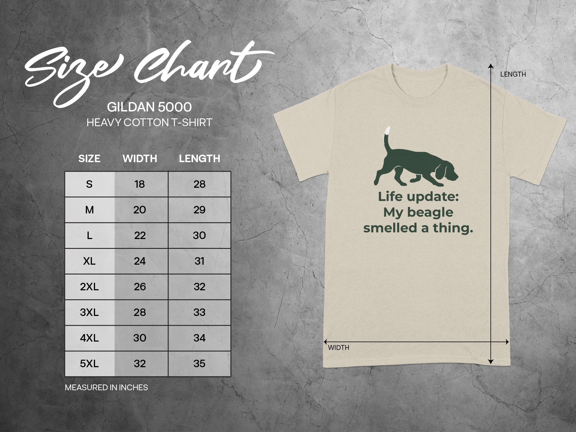 Gildan 5000 heavy cotton t-shirt size chart with beagle graphic.