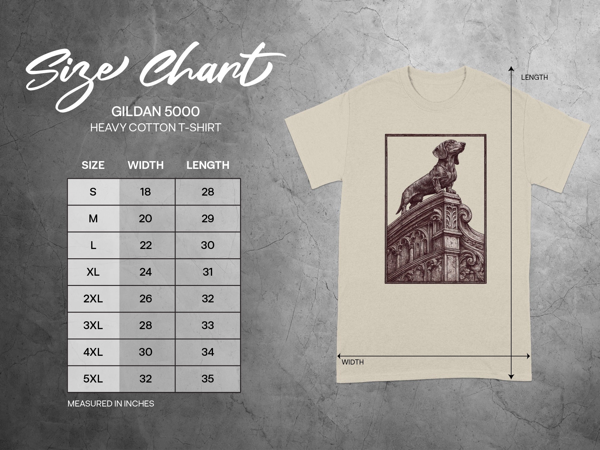 Size chart for Gildan 5000 heavy cotton t-shirt with dachshund graphic.