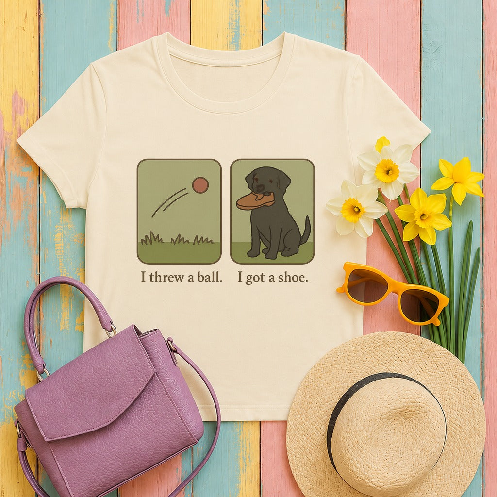 flat lay hero lab-family-v8