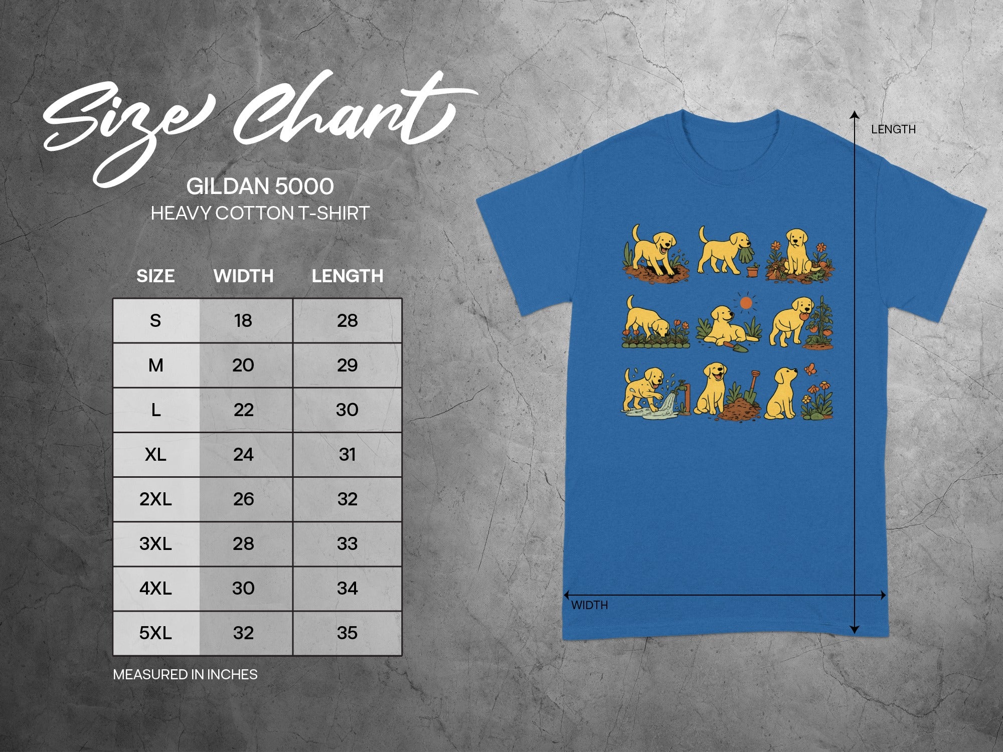 Gildan 5000 t-shirt size chart with width and length measurements in inches.