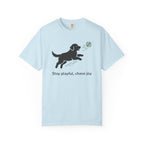 Stay playful chase joy dog graphic t-shirt product