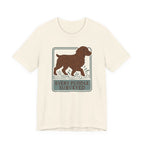 Boykin Spaniel Every Puddle Surveyed Tee