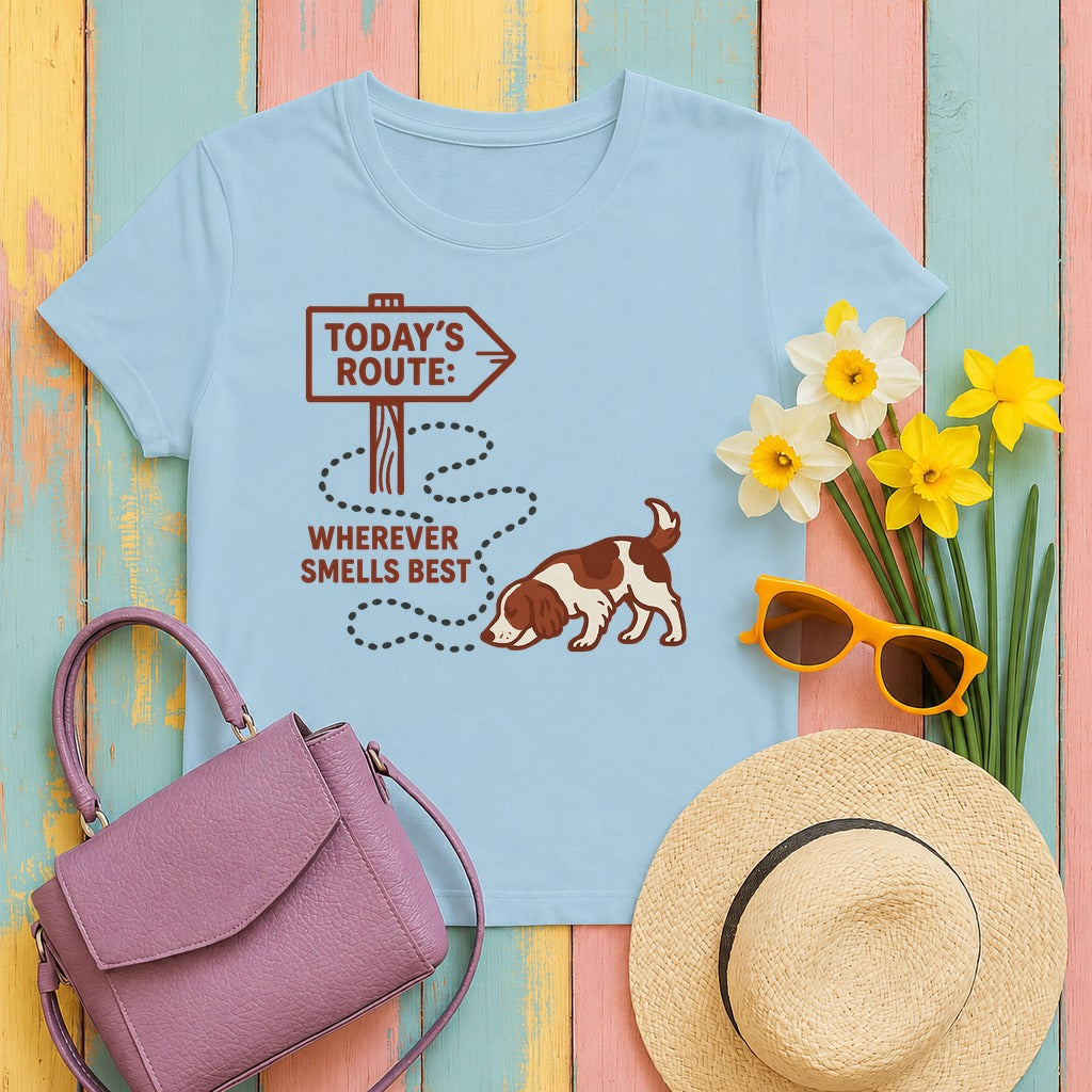 Welsh Springer Spaniel Today's Route T-shirt in Light Blue