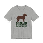 American Water Spaniel Small In Structure Big In Drive Tee