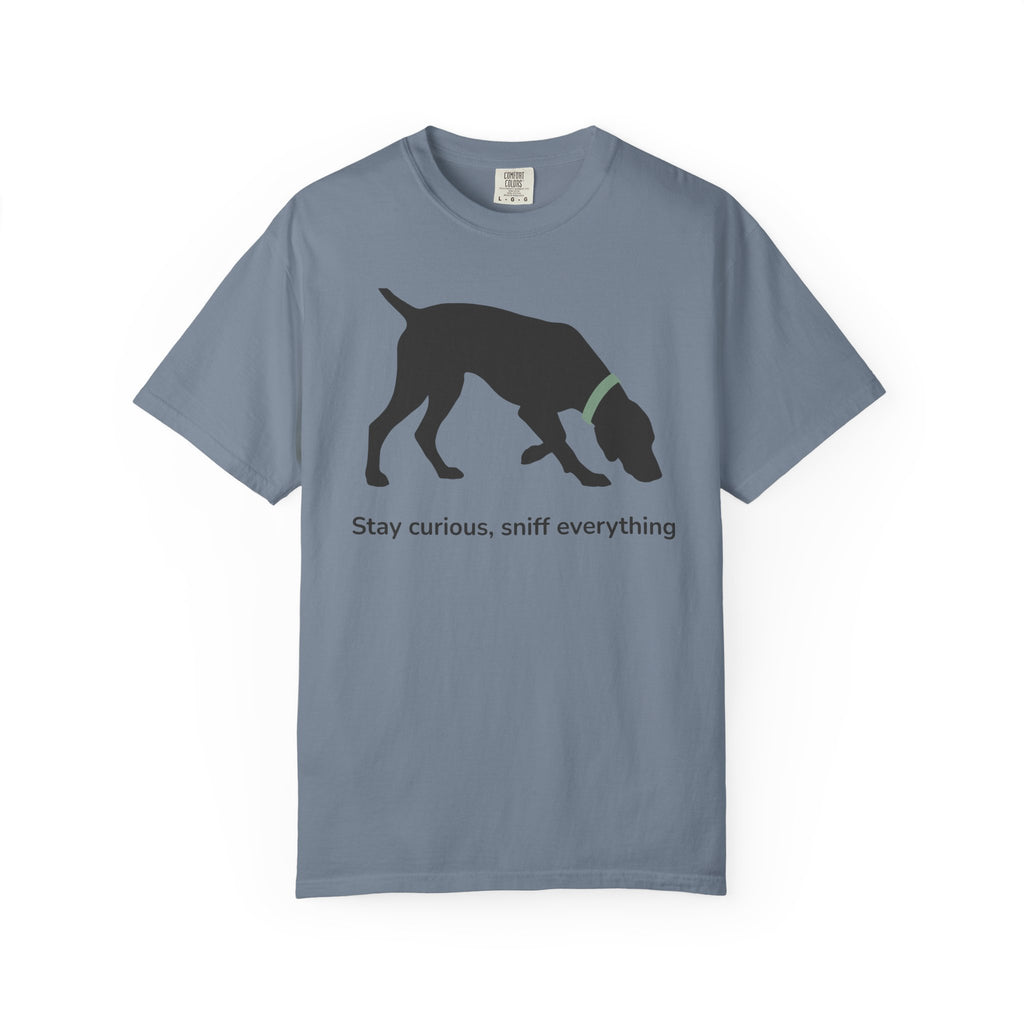Stay Curious Vizsla T-Shirt