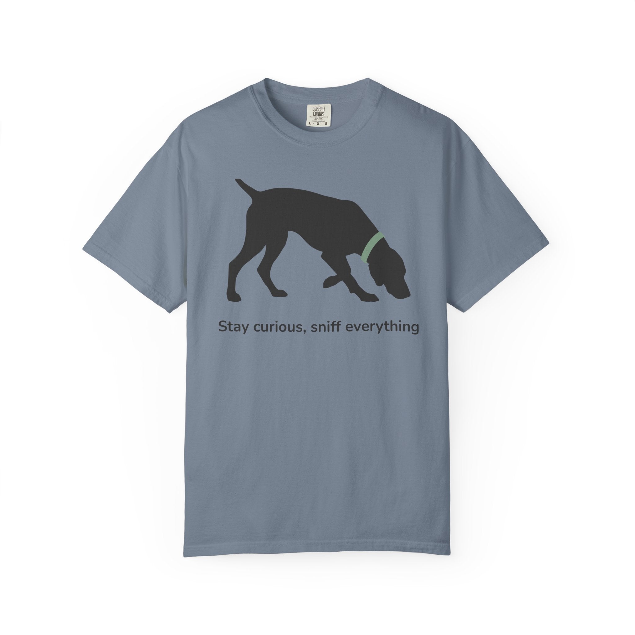 Stay Curious Vizsla T-Shirt