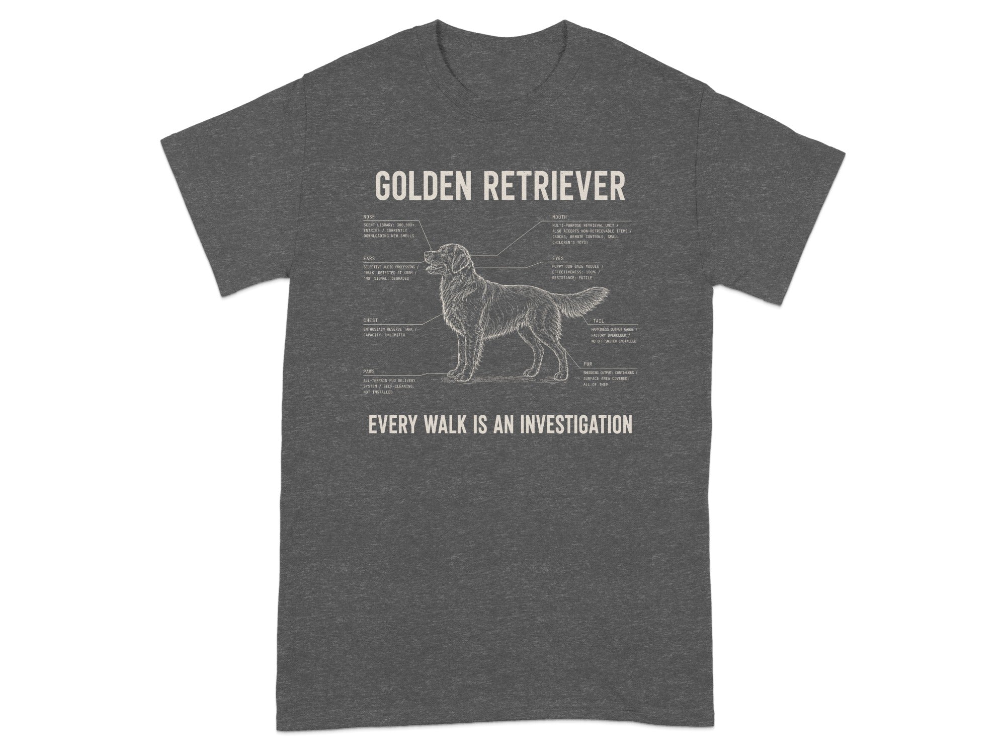 Golden Retriever anatomy diagram with humorous labels.