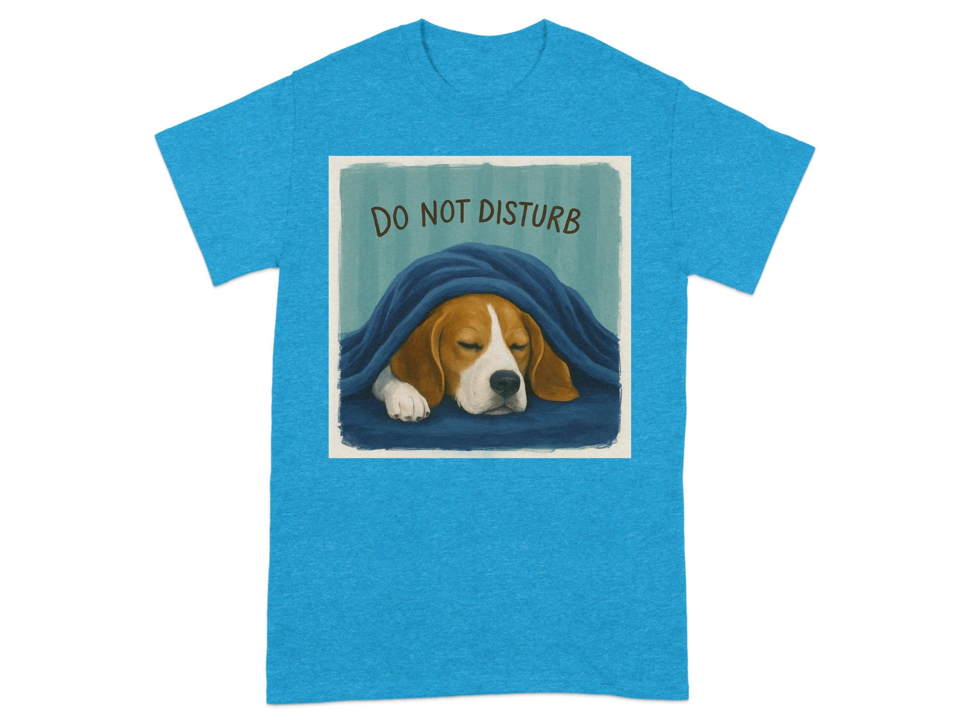 Do Not Disturb Sleeping Dog Graphic T-Shirt product type