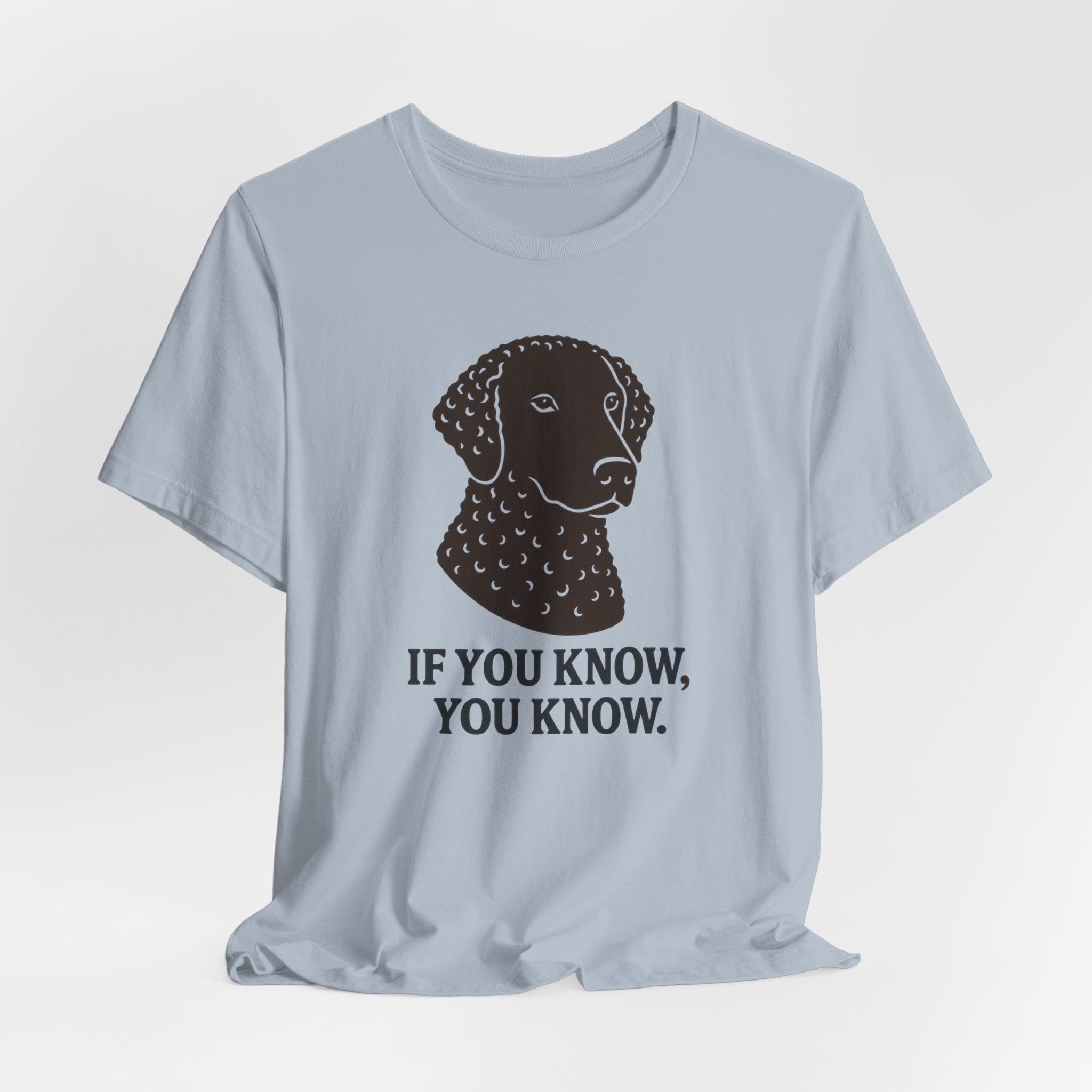Curly-Coated Retriever If You Know You Know Tee