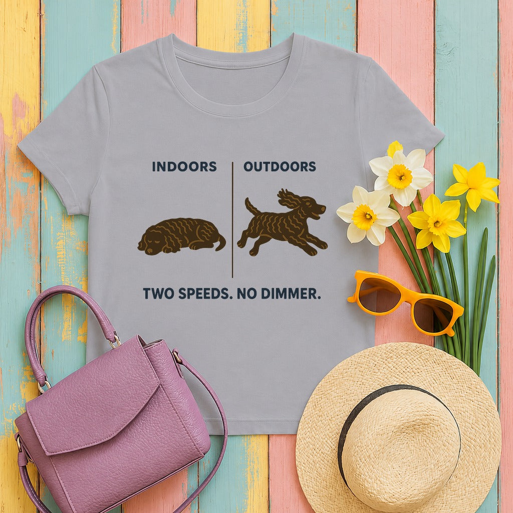 American Water Spaniel two speeds tee flat lay