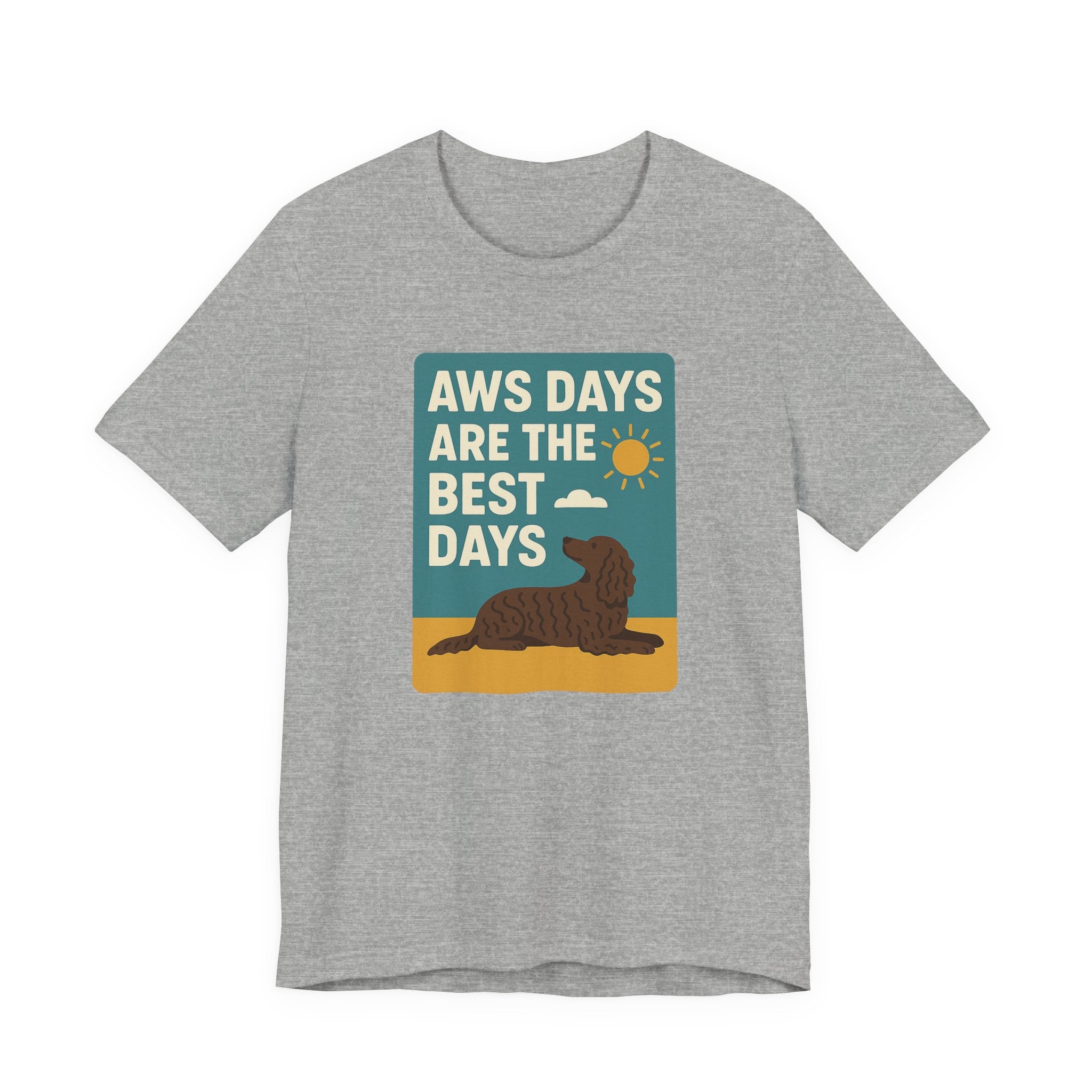 American Water Spaniel AWS Days Are The Best Days Tee