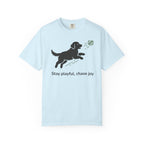 Stay Playful Golden Retriever T-Shirt