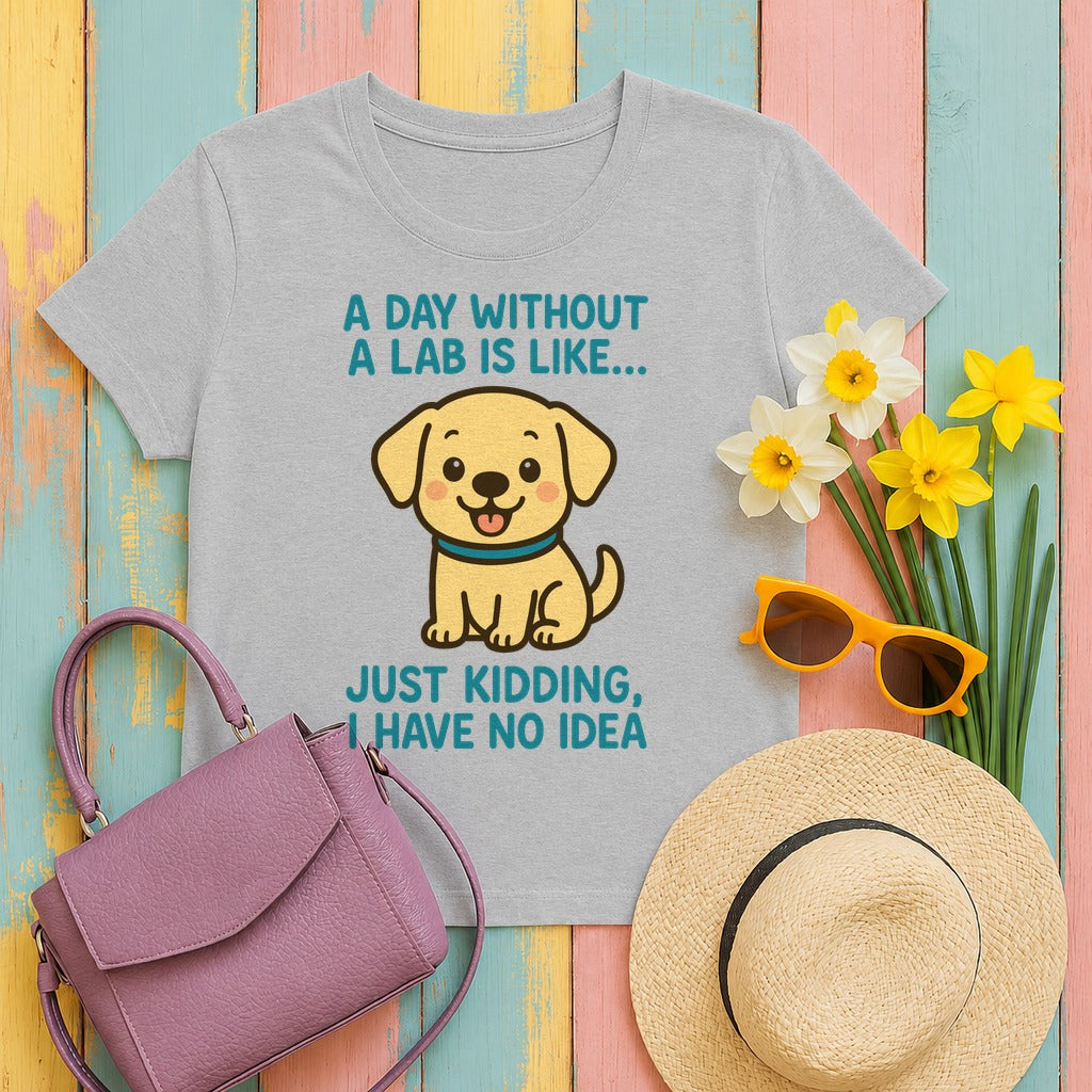 A Day Without A Lab T-Shirt in Sport Grey