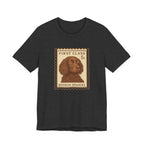 Boykin Spaniel First Class Stamp Tee