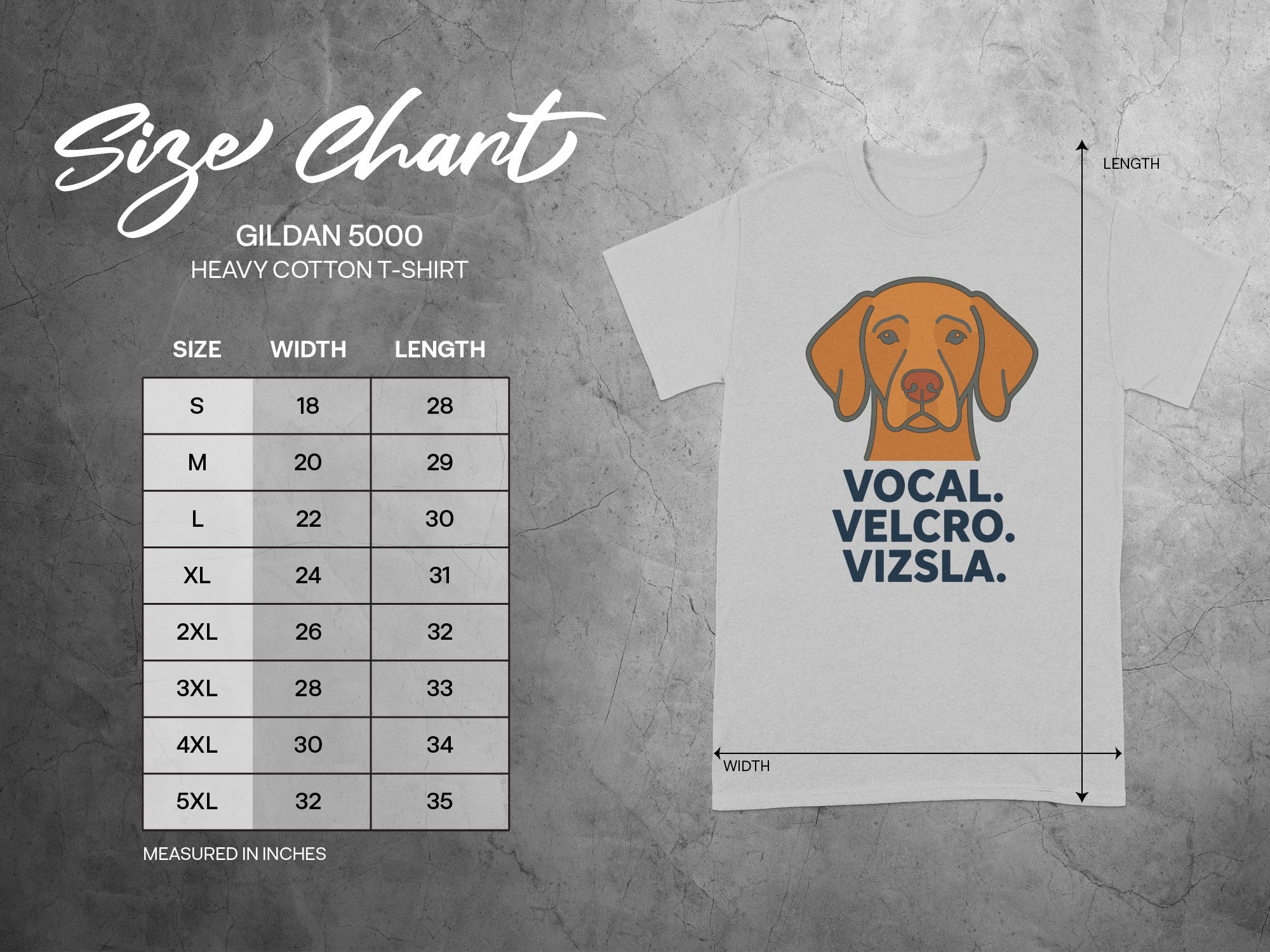 Gildan 5000 t-shirt size chart with Vizsla graphic.