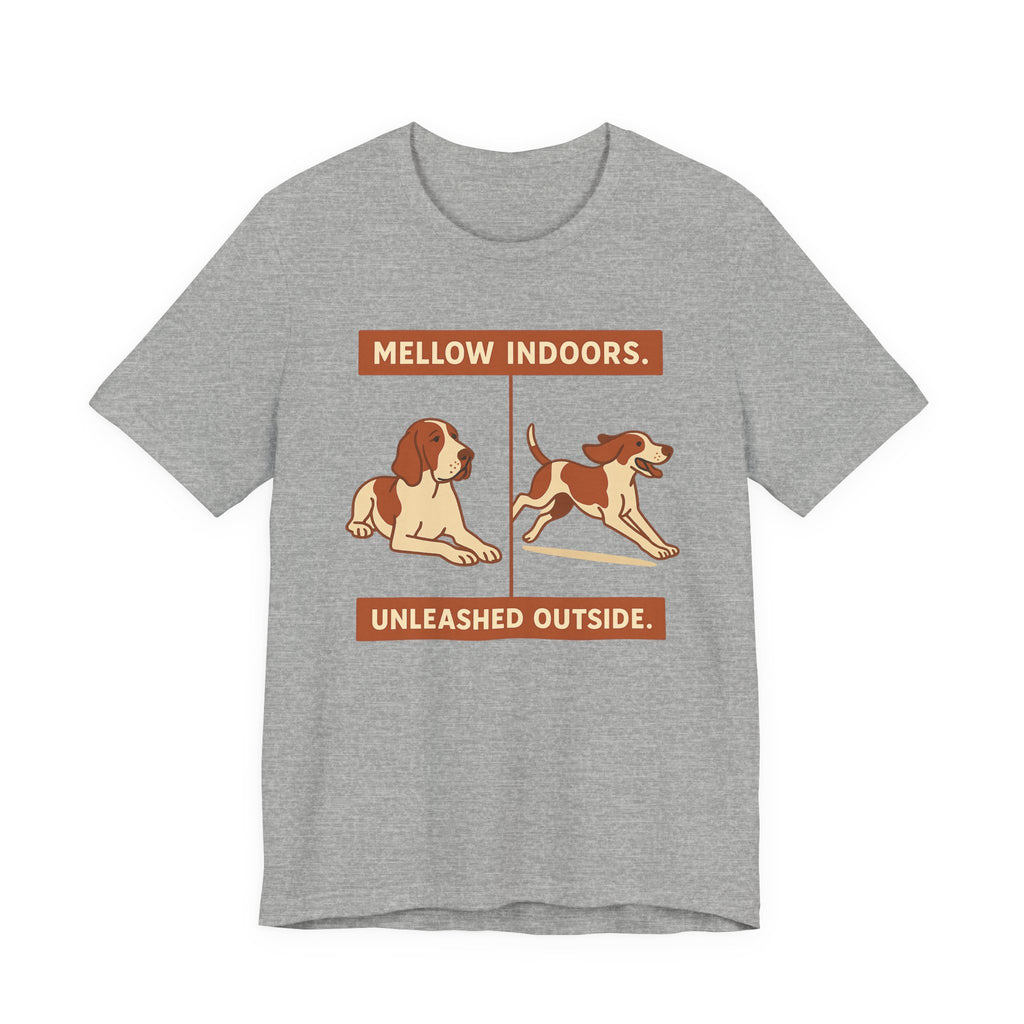 Bracco Italiano Mellow Indoors Tee