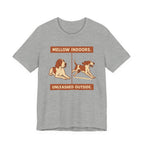 Bracco Italiano Mellow Indoors Tee