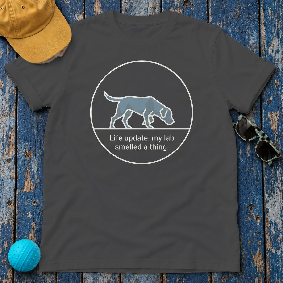 Life Update Lab Sniff T-Shirt in Dark Heather