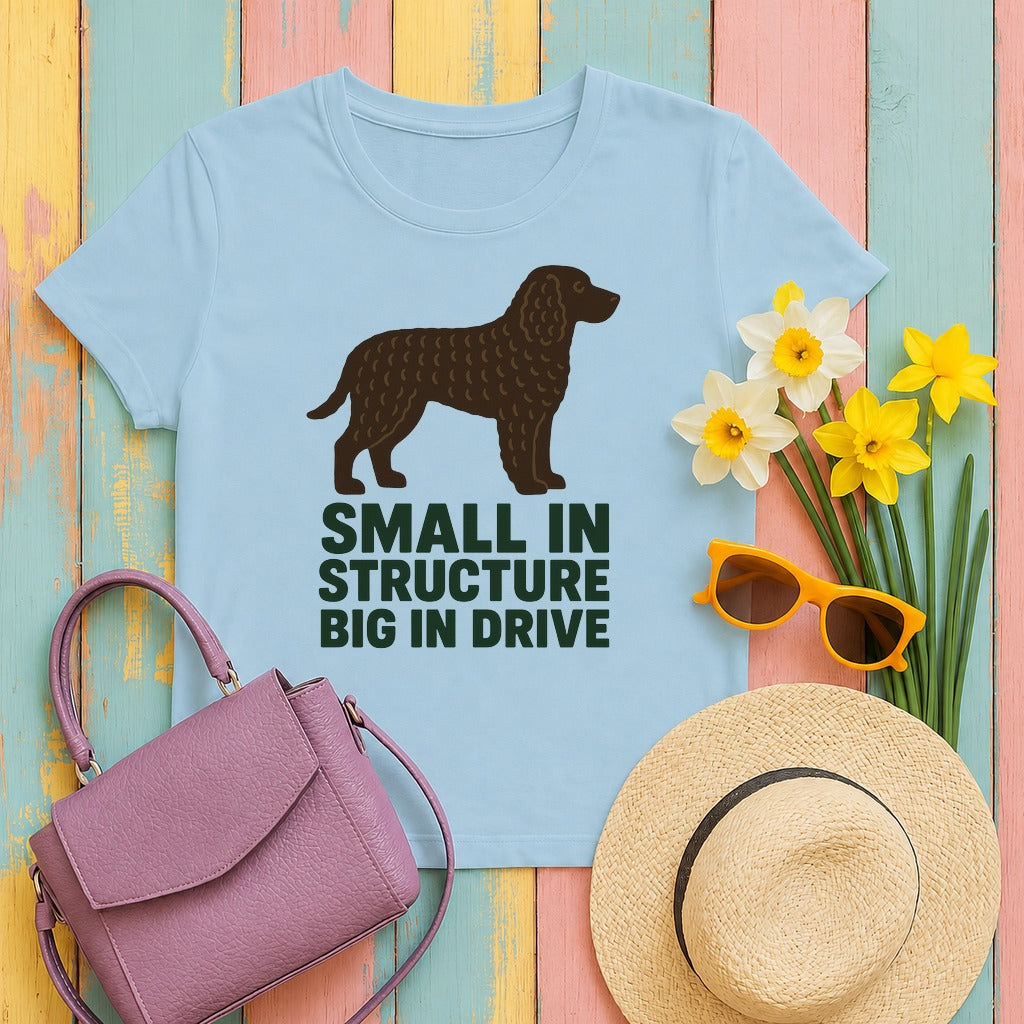 American Water Spaniel big in drive tee flat lay