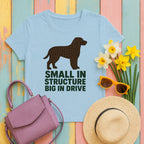 American Water Spaniel big in drive tee flat lay
