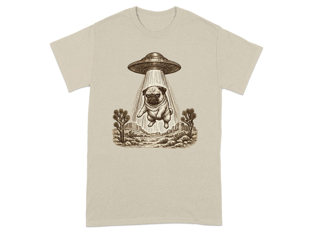UFO beam abducts pug over desert landscape in brown sketch style.