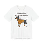Doberman Looks Ferocious But Needs a Sweater Tee