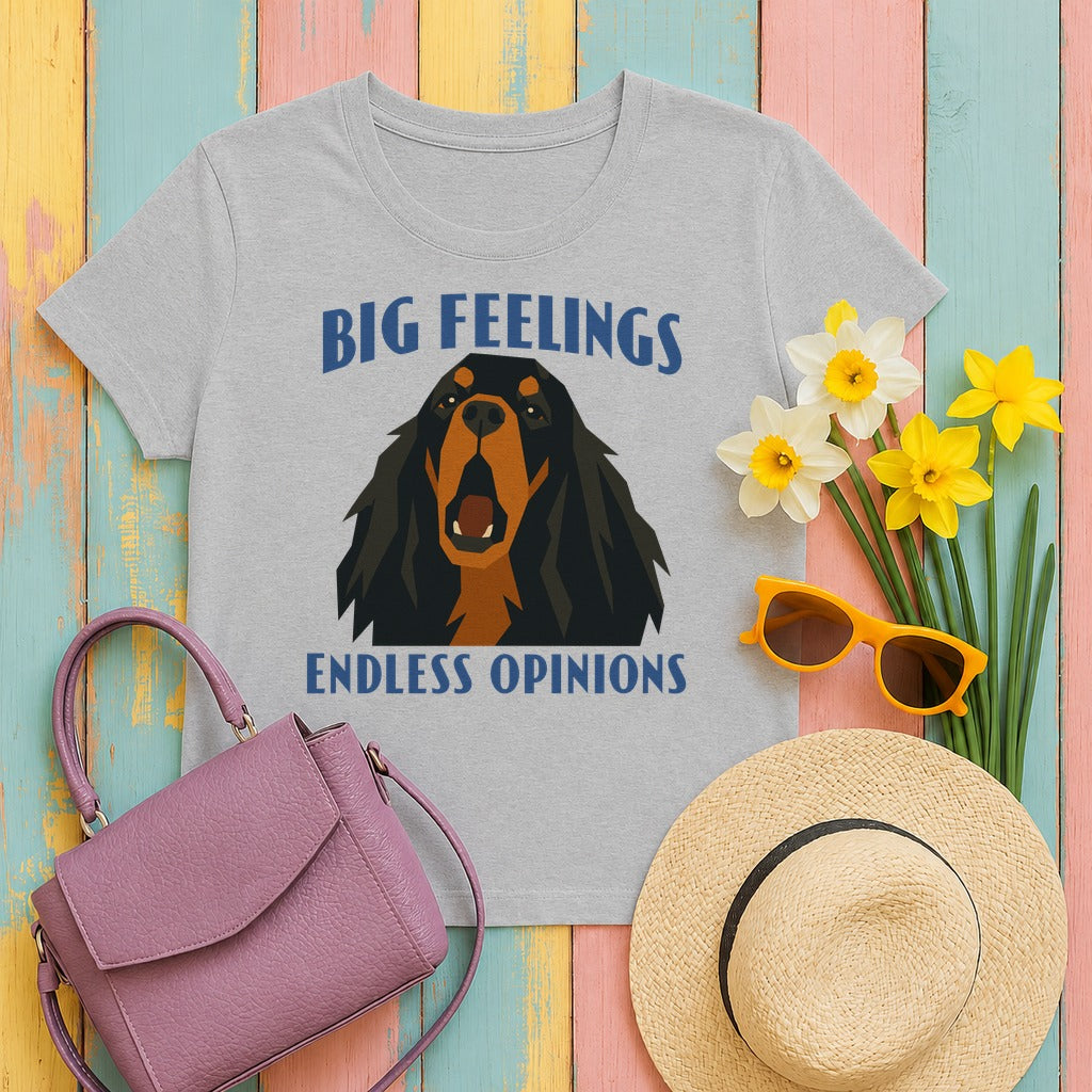 Big Feelings Setter T-Shirt in Sport Grey