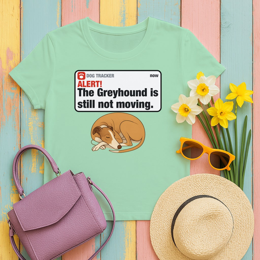 Greyhound Alert Still Not Moving Tee in Mint