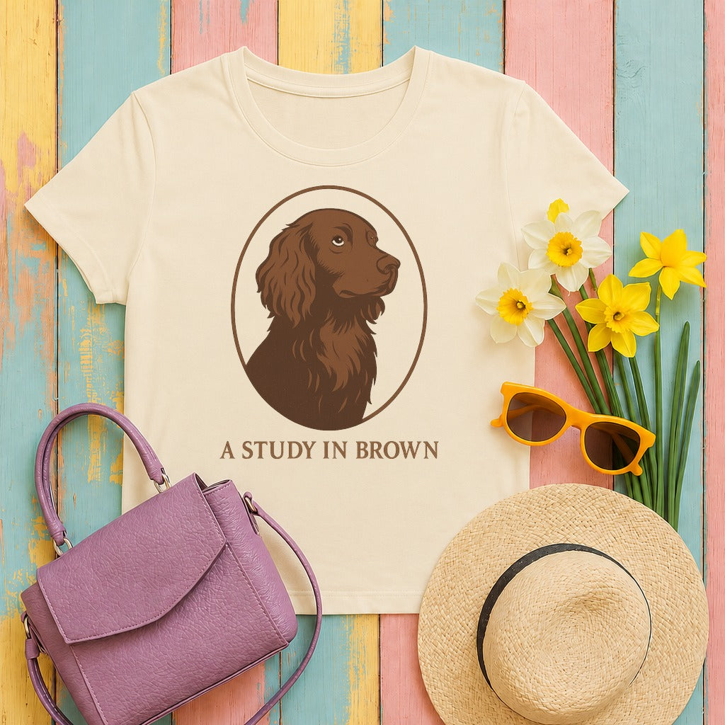 boykin study-in-brown tee flat lay hero v8