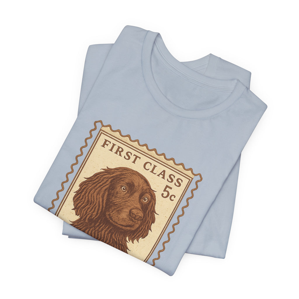 Boykin Spaniel First Class Stamp Tee