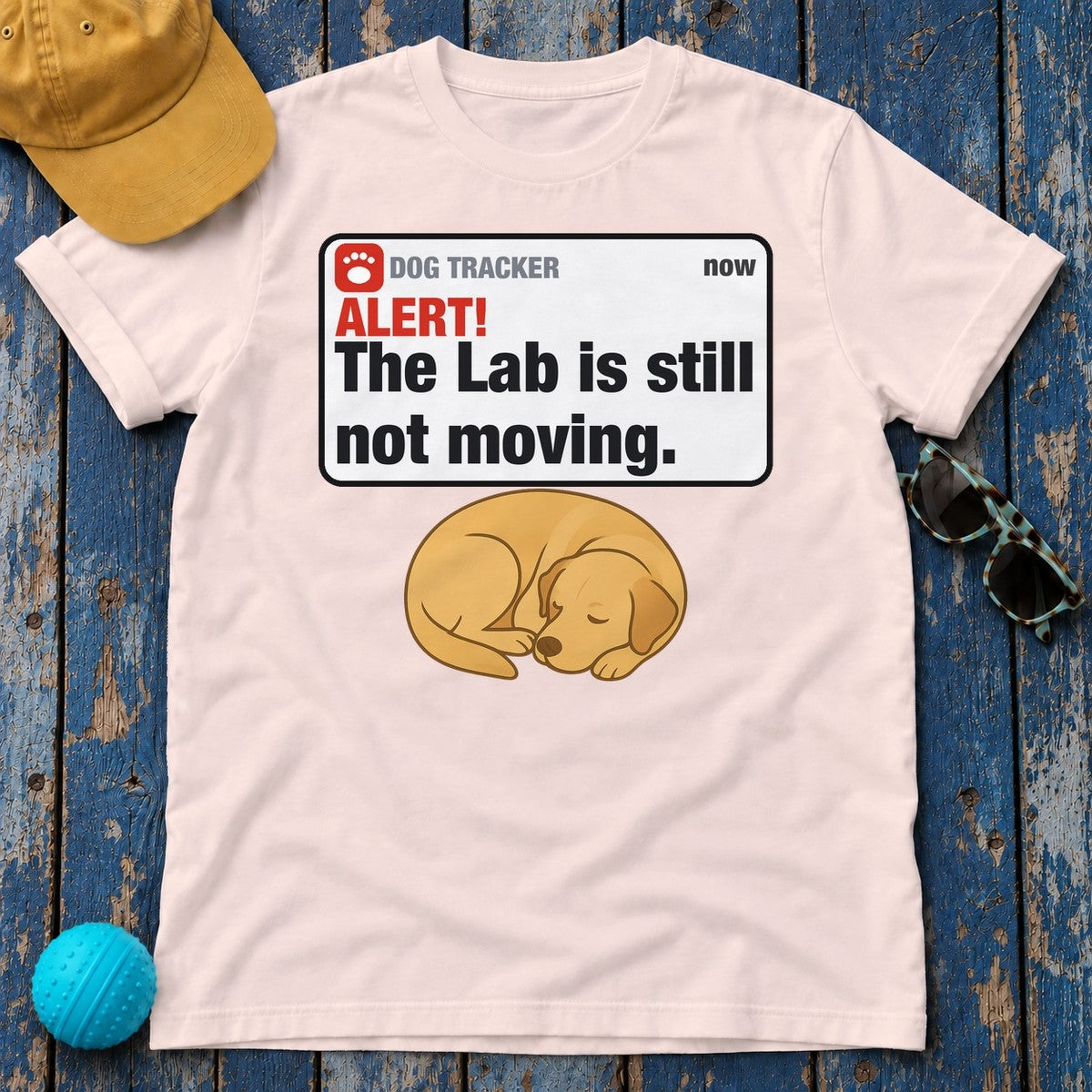 Lab Alert Still Not Moving Tee in Soft Pink