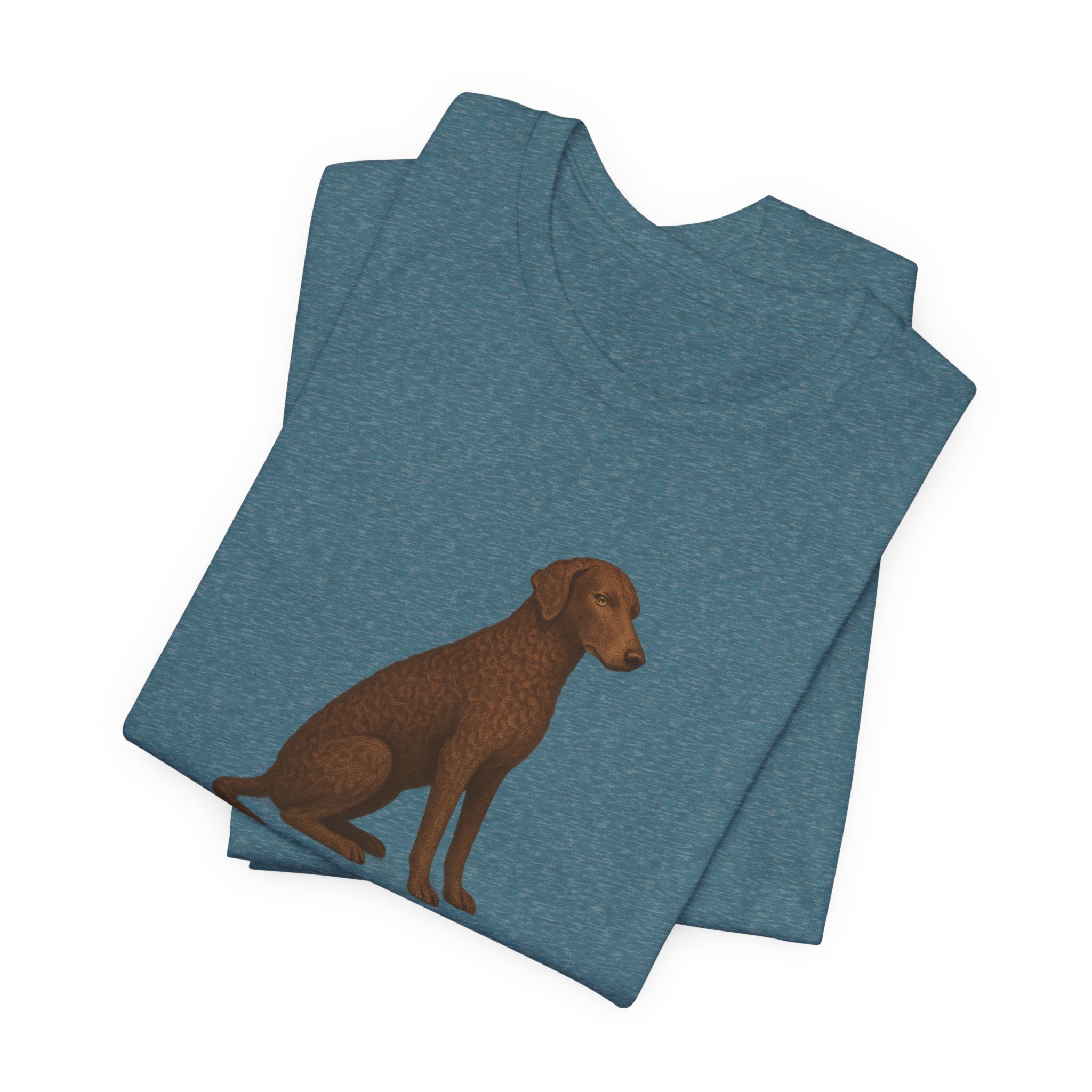 Curly-Coated Retriever Mine Brings A Plan Tee