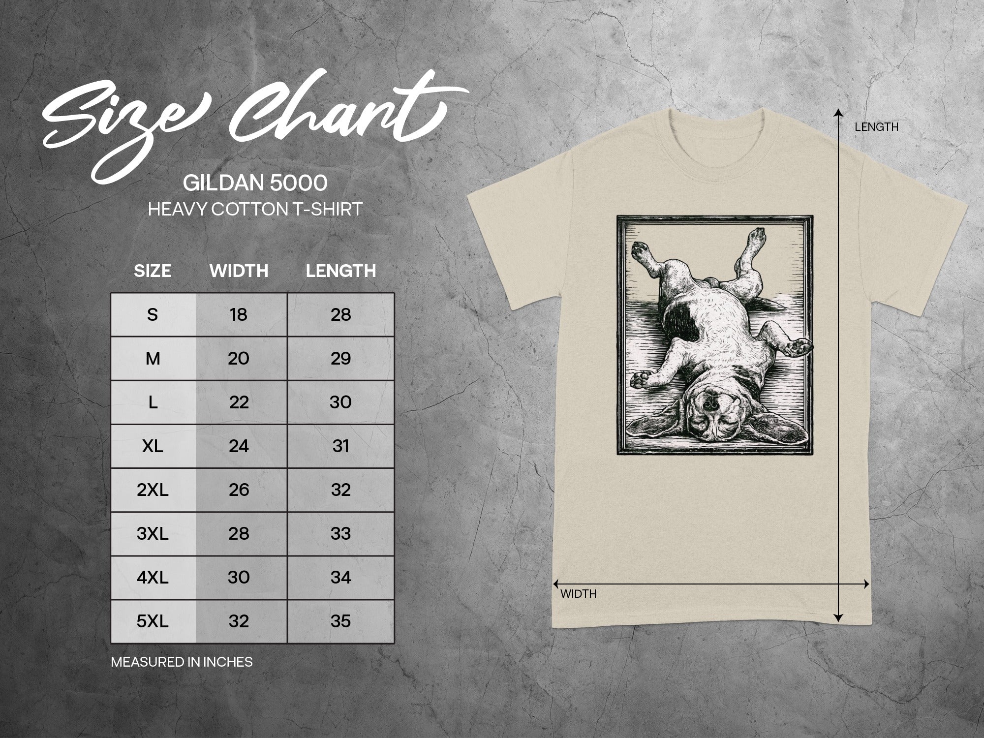 Gildan 5000 t-shirt size chart with measurements for width and length in inches.