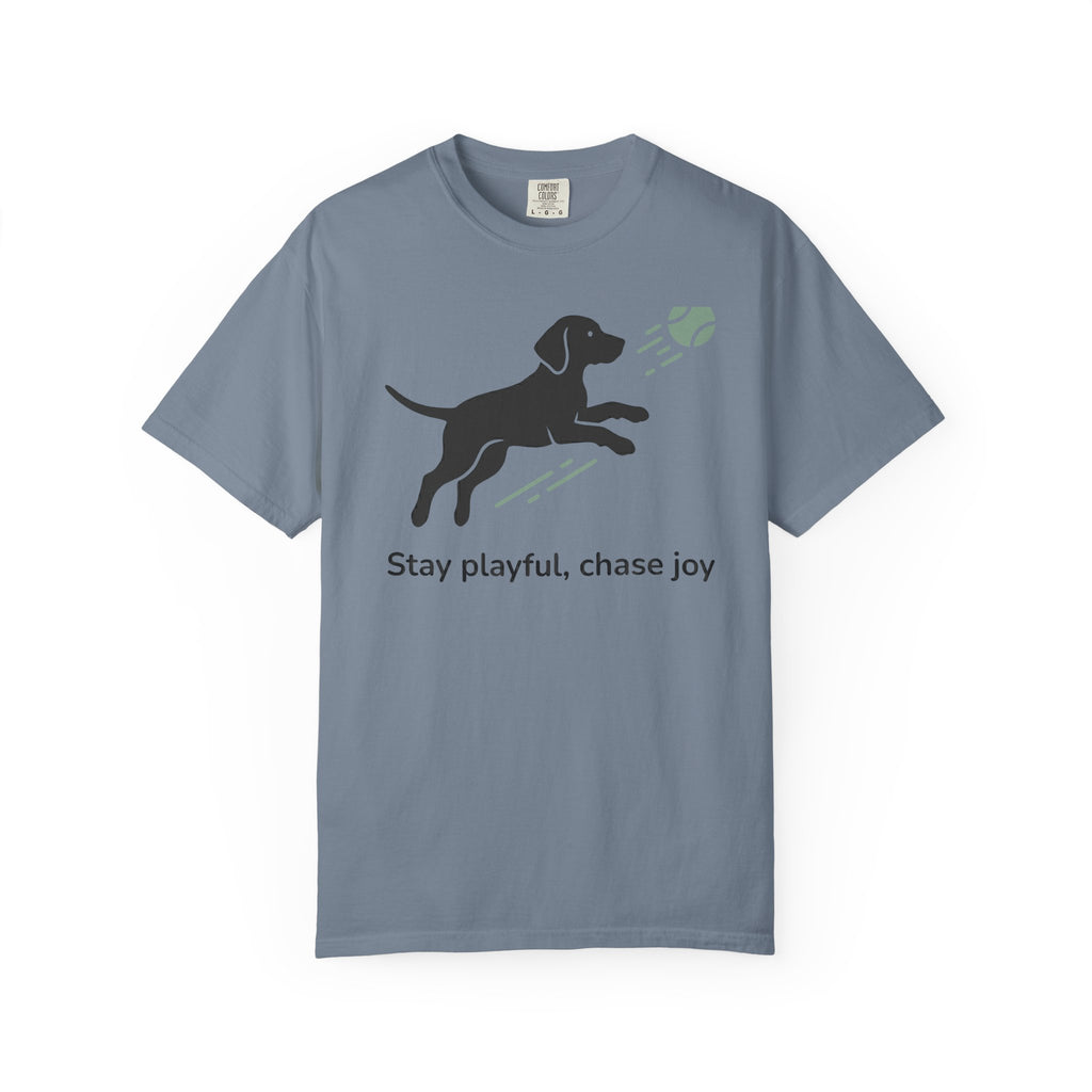 Stay Playful Vizsla T-Shirt