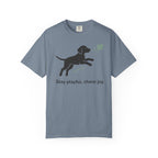 Stay Playful Vizsla T-Shirt
