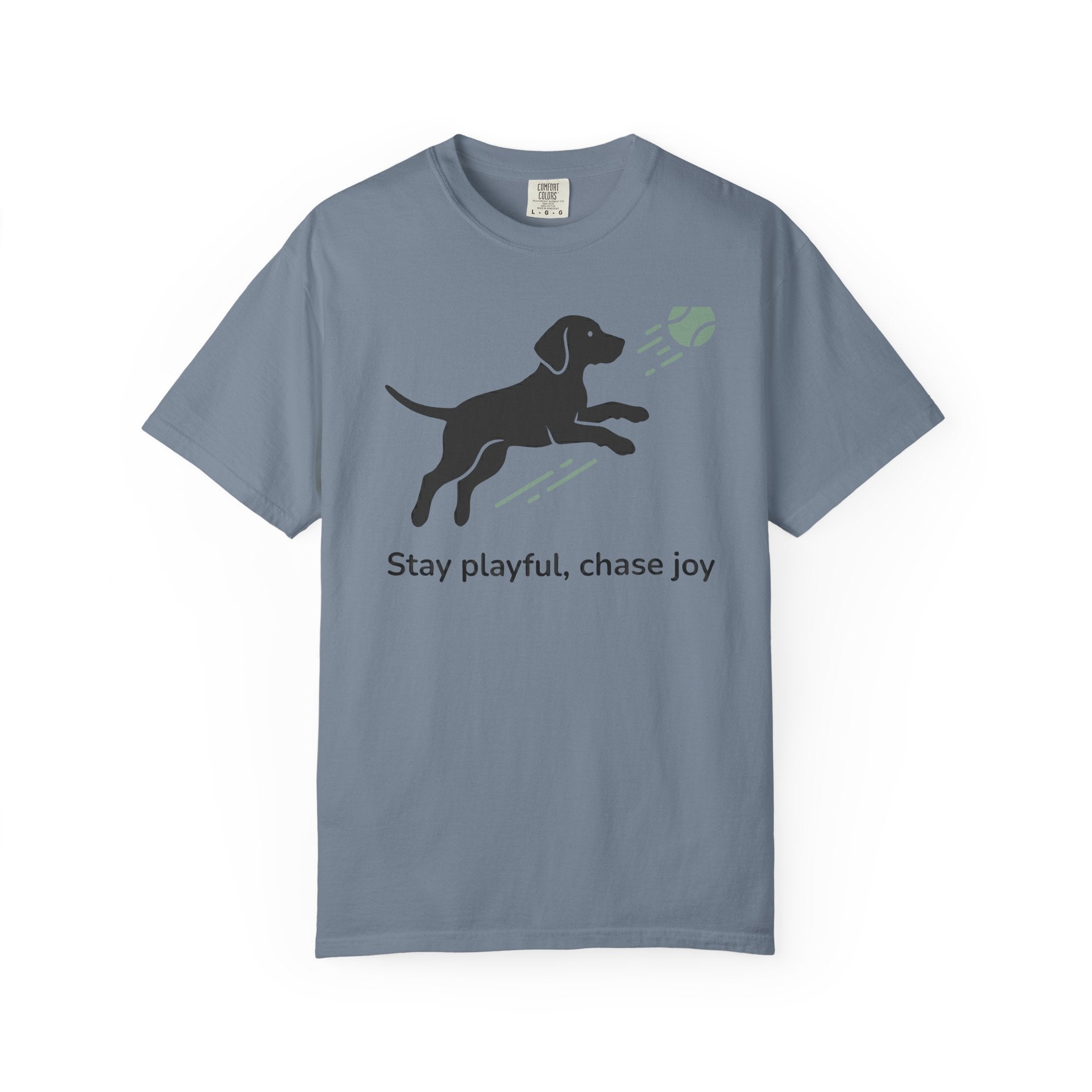 Stay Playful Vizsla T-Shirt