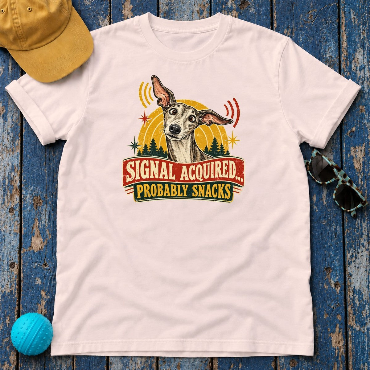 Signal Acquired Probably Snacks Greyhound T-Shirt in Soft Pink - flat lay