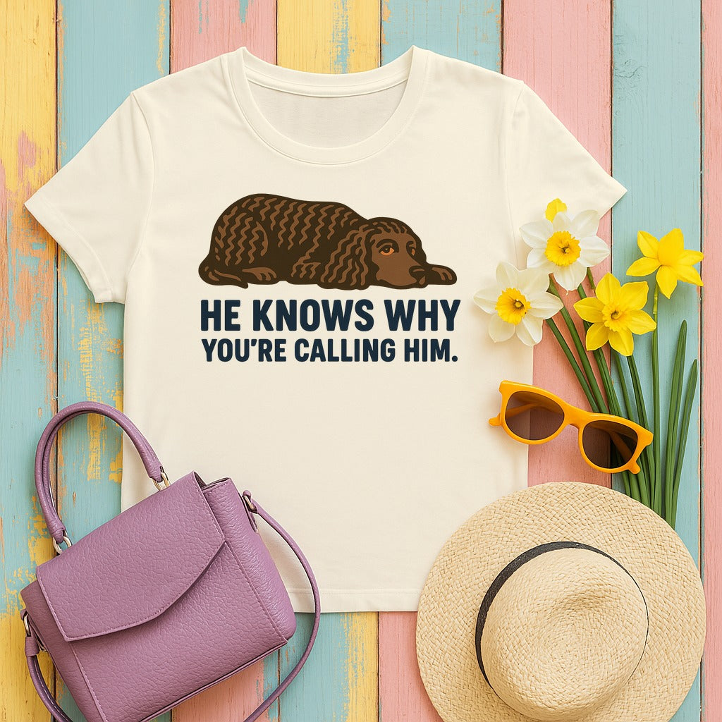American Water Spaniel He Knows Why You're Calling Him Tee in Natural
