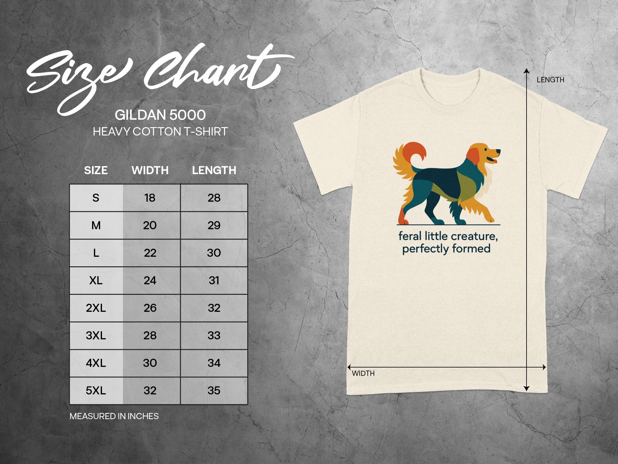 Gildan 5000 Heavy Cotton t-shirt size chart with graphic and measurements.
